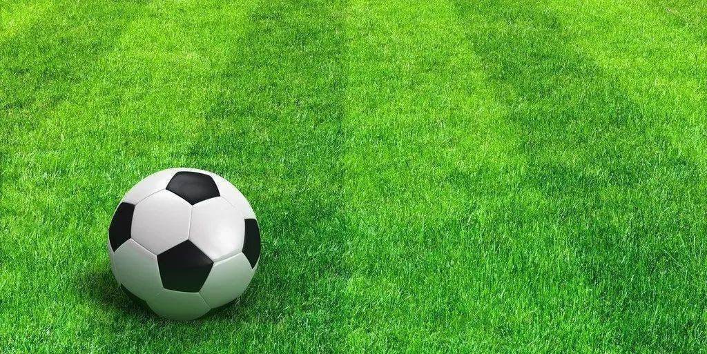 体育自媒体创作者用户头像