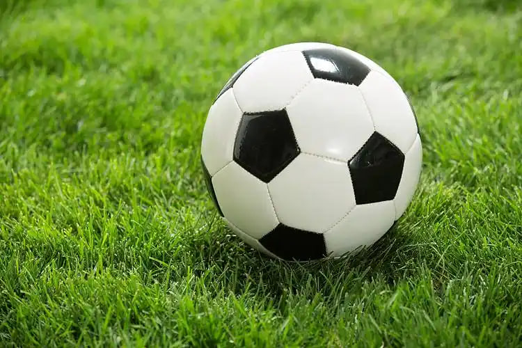 数据分析师用户头像